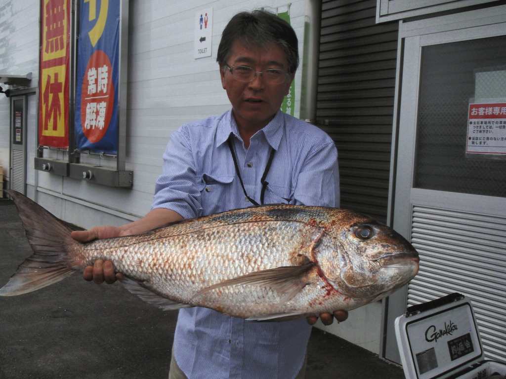 2015/05/06　河津 仁市さん 真鯛　カゴ　82cm 6.4kg 上五島にて