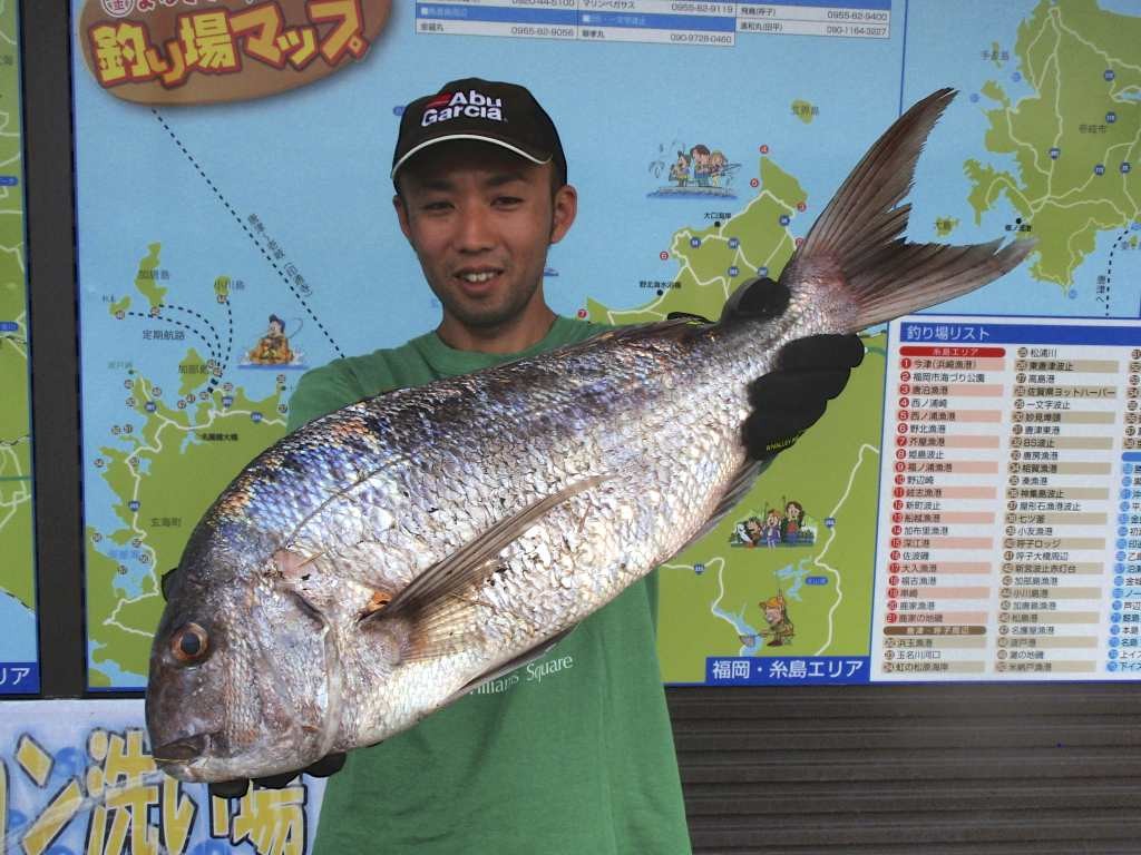 2015/11/11　平野 真一さん 真鯛　ルアー　66cm 13.49kg 平戸にて ロングランビッグ釣り大会エントリー