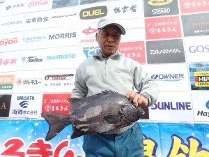 2位　島田さん 石鯛　46.0cm 1.72kg