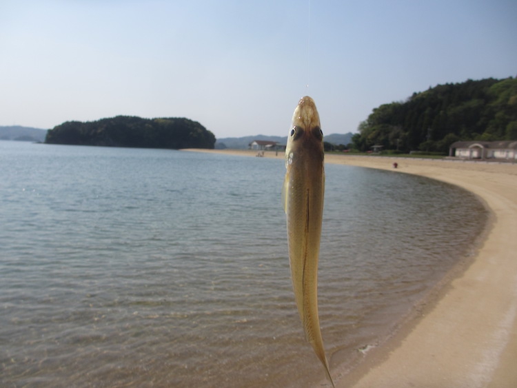 イマリンビーチ周辺 Of ポイント紹介