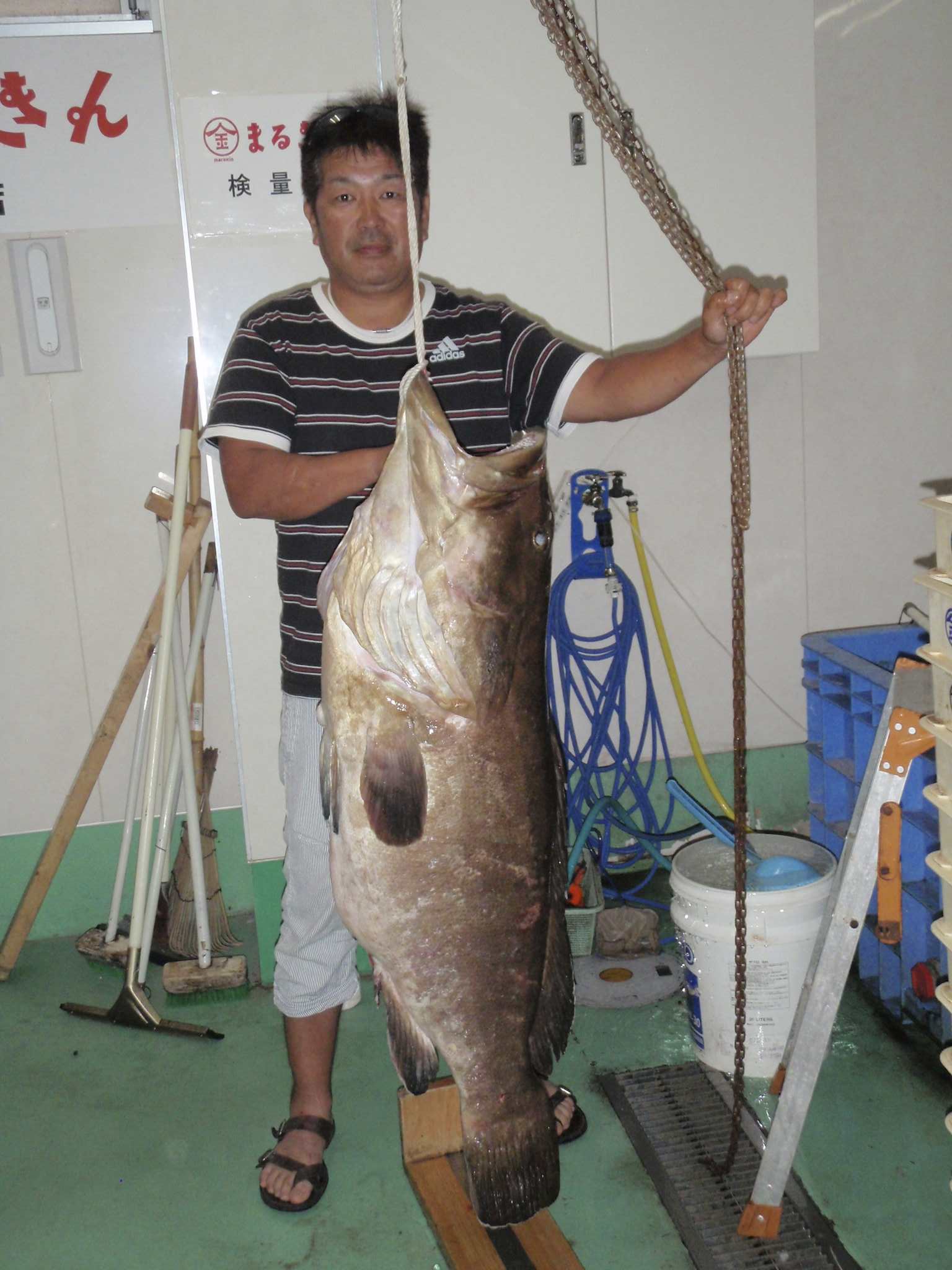 九州 佐賀 長崎 福岡の釣具店 つり具のまるきん 九州の釣り情報サイト 平戸 生月 的山 五島 唐津 糸島 男女 海釣り動画情報