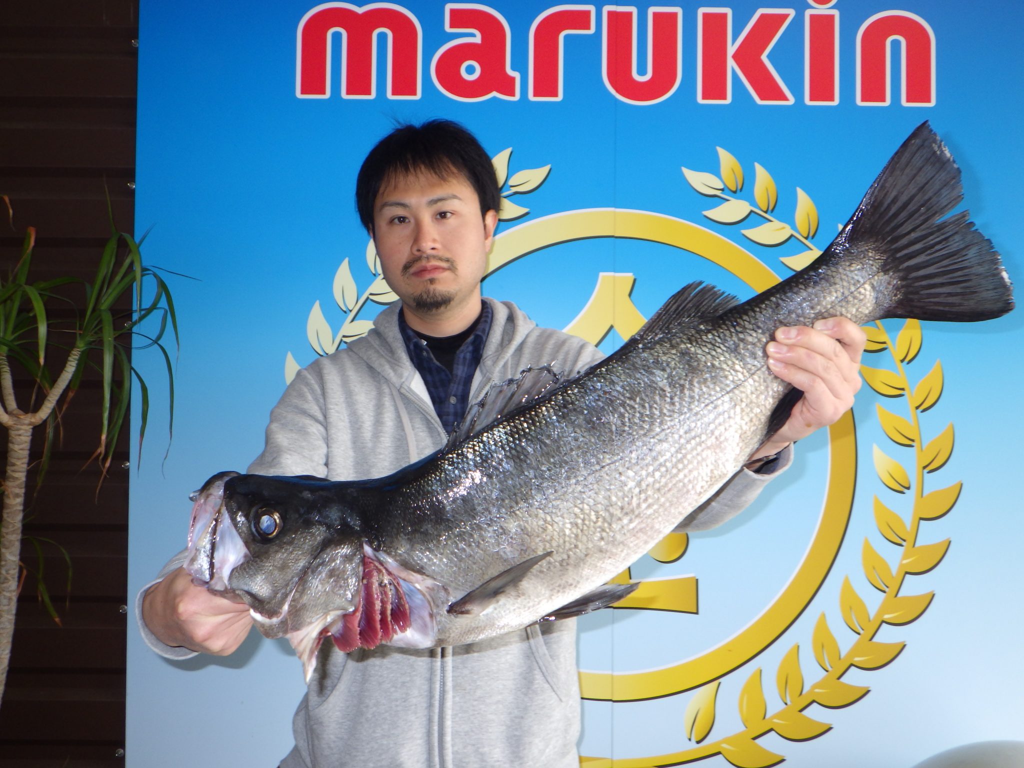 九州 佐賀 長崎 福岡の釣具店 つり具のまるきん 九州の釣り情報サイト 平戸 生月 的山 五島 唐津 糸島 男女 海釣り動画情報