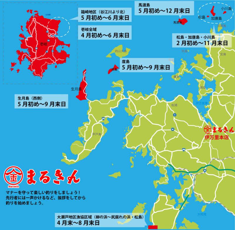 新生活 あおりいか 水いか 一夜干し 300gサイズ 西海国立公園の島 長崎県五島列島産 Materialworldblog Com