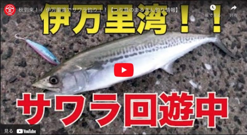 釣り動画