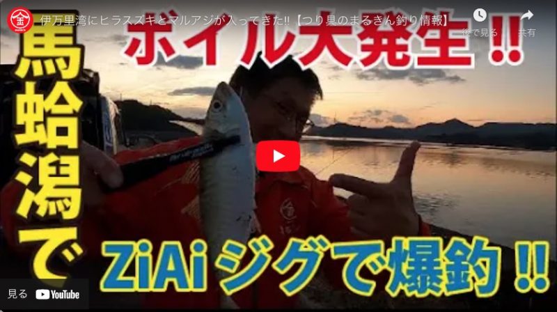 釣り動画