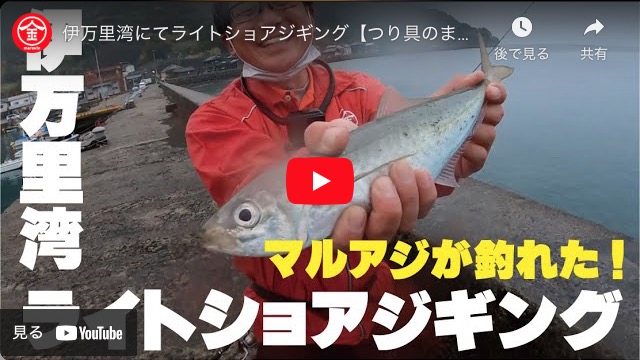 釣りの動画