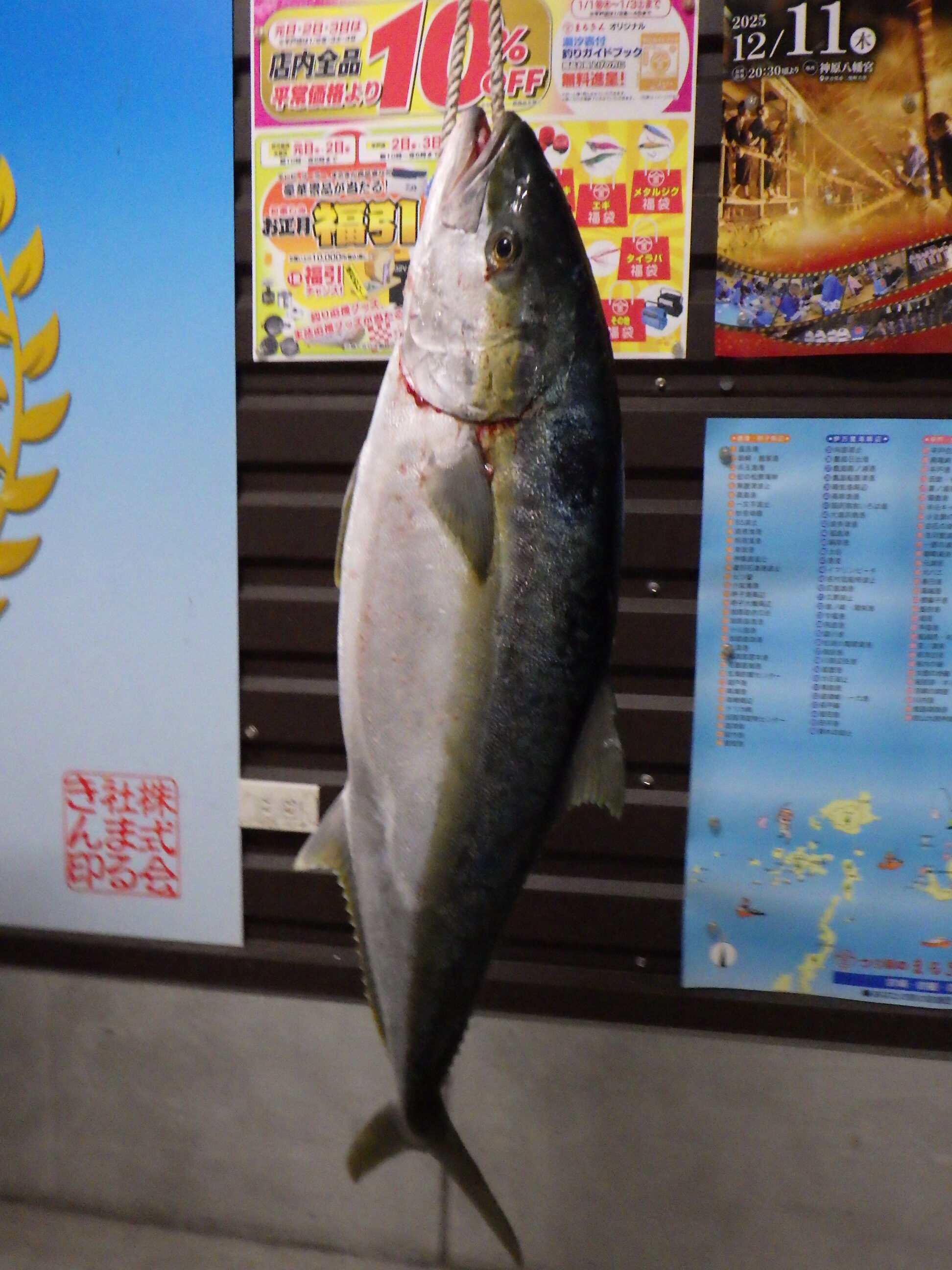 釣果写真